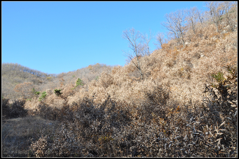 牟平鹊山十一人行照片2011年11月20日 279.jpg