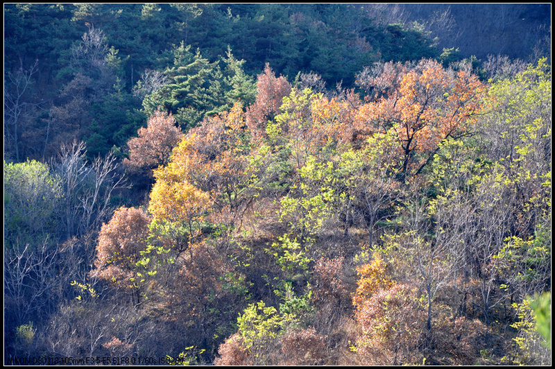 牟平鹊山十一人行照片2011年11月20日 294.jpg