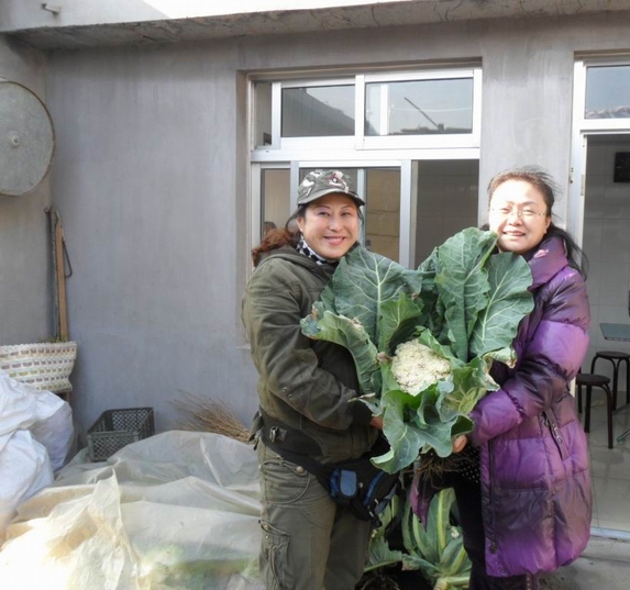 可爱老虎跟香水百合合影