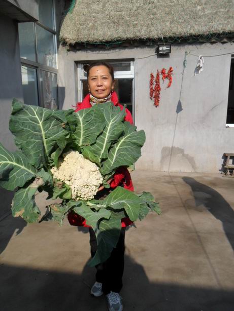 谭天说地是中级的老年驴友，心态很好，跟我们年轻人一样