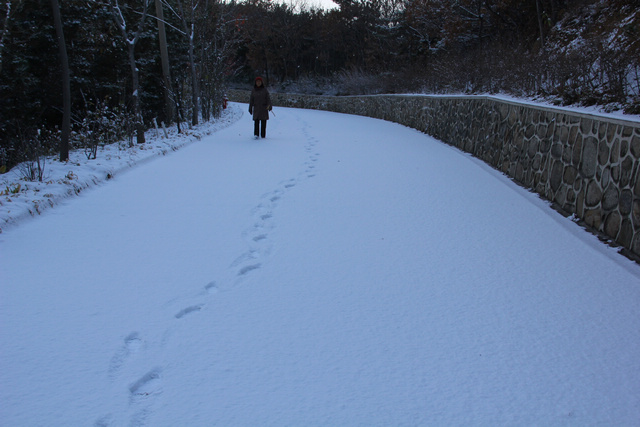 入冬第一场雪 025-02.jpg