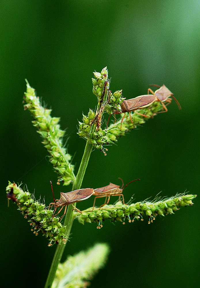 复件 DSC_1764.JPG