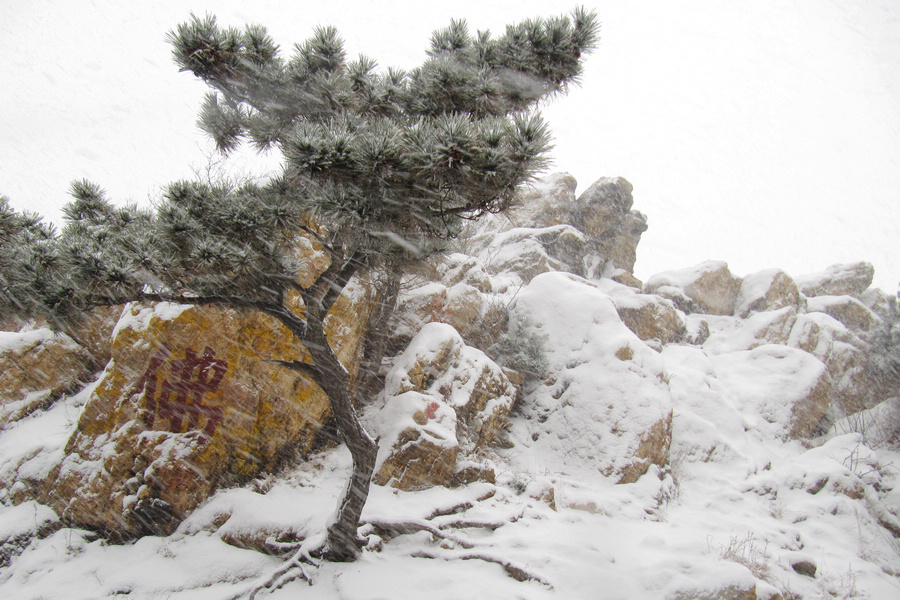 南山赏雪 014-02.jpg