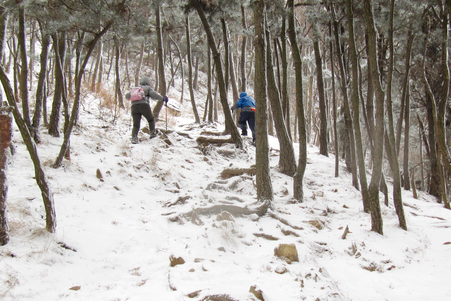 南山赏雪 026.jpg