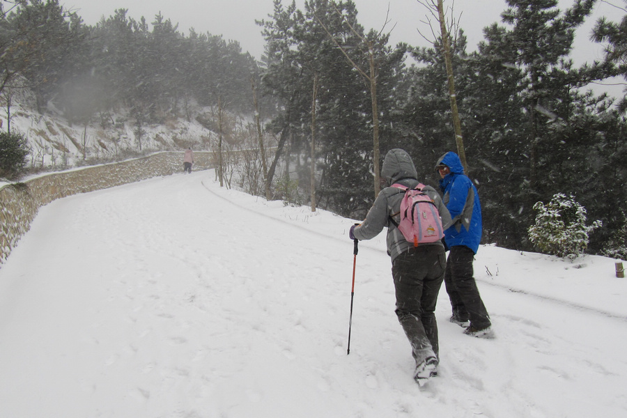 南山赏雪 063.jpg