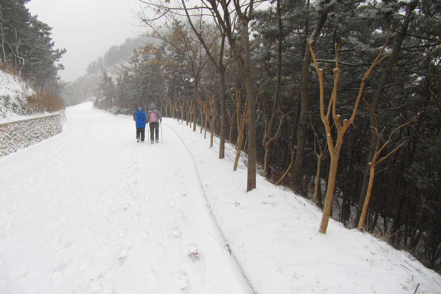 南山赏雪 068.jpg