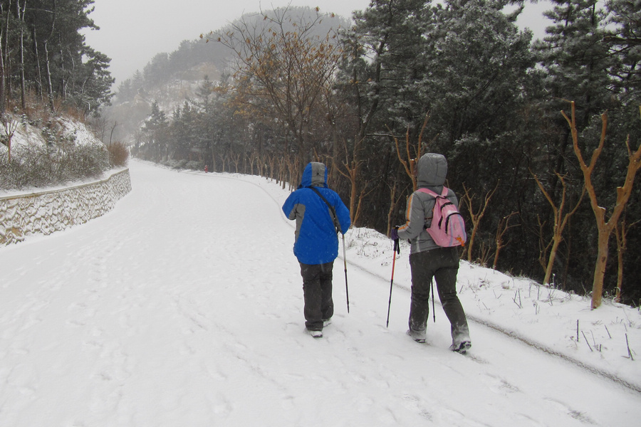 南山赏雪 067.jpg