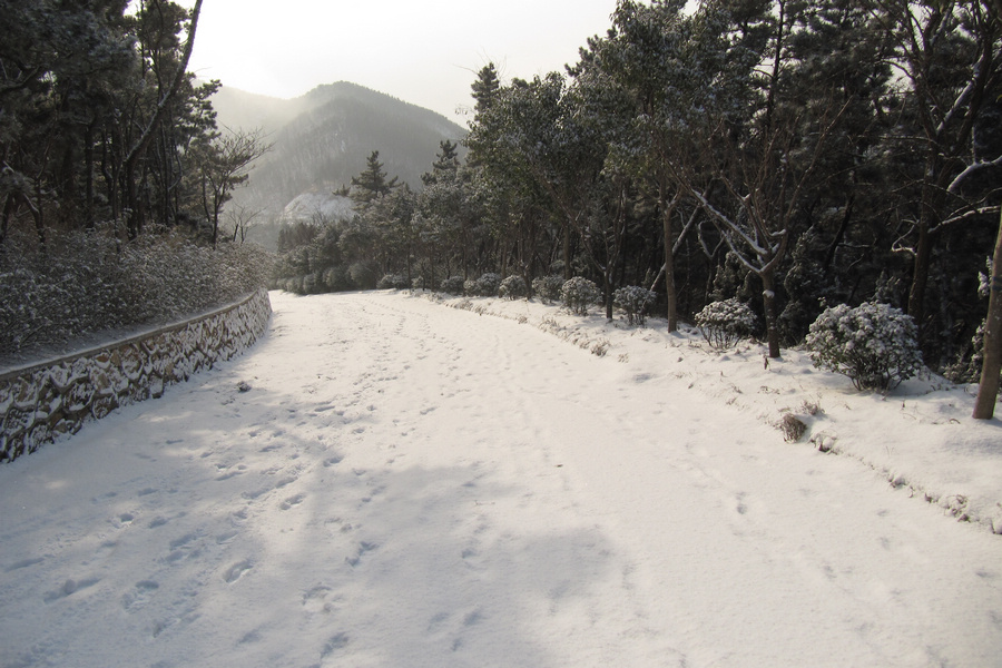 南山赏雪 121.jpg