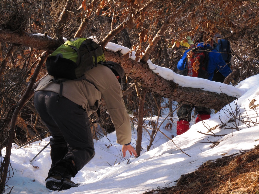 元月十四日踏雪昆嵛山 066.jpg