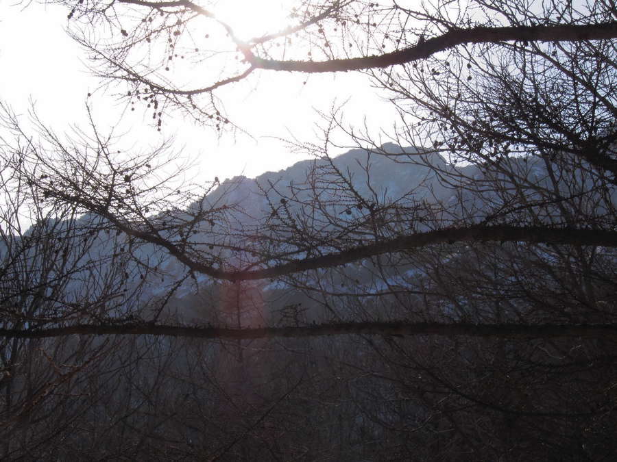 元月十四日踏雪昆嵛山 080-02.jpg