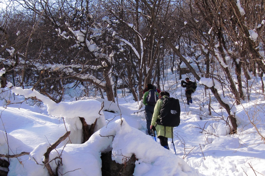 元月十四日踏雪昆嵛山 101.jpg