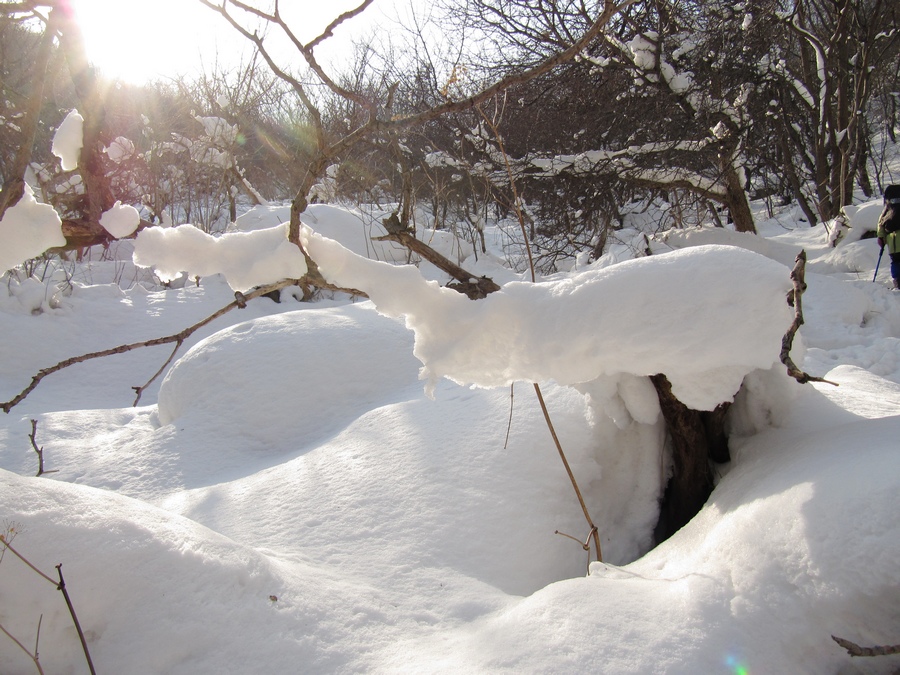 元月十四日踏雪昆嵛山 103-02.jpg