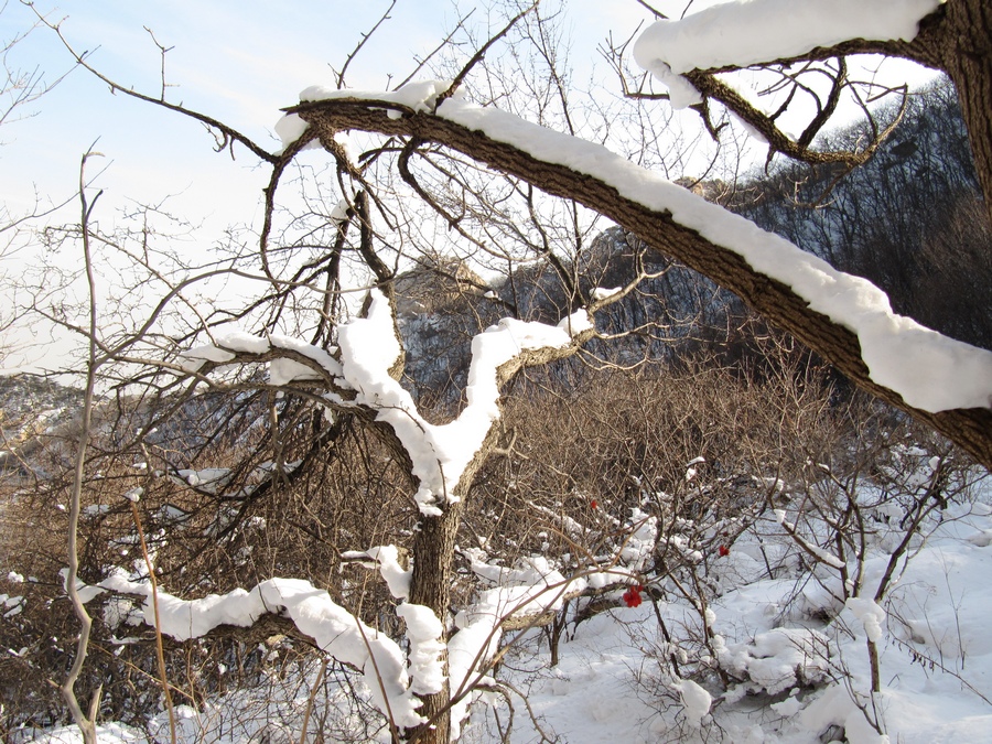 元月十四日踏雪昆嵛山 105-02.jpg