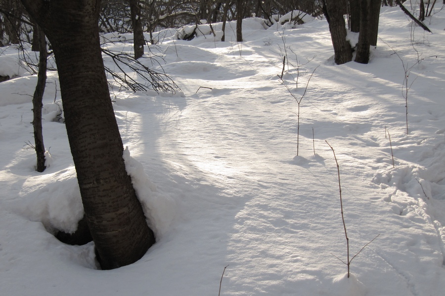 元月十四日踏雪昆嵛山 110-02.jpg