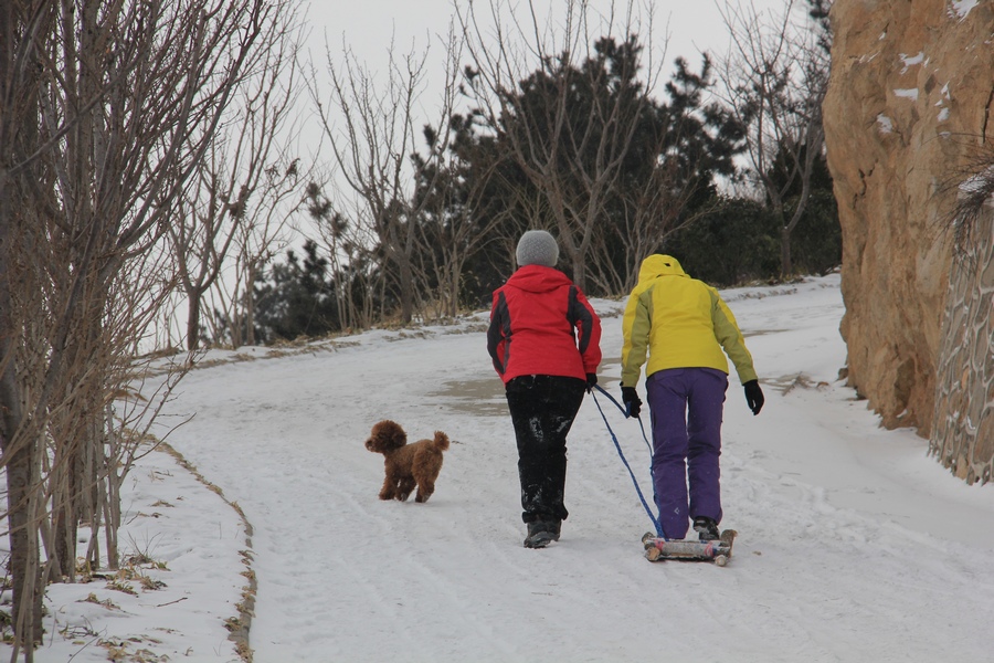 大年初十南山滑雪2 061.jpg