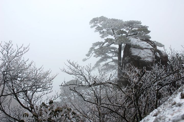 黄山 155.jpg