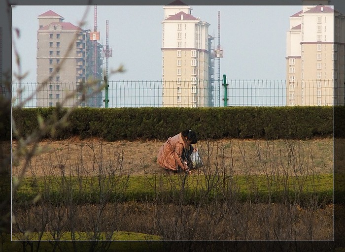 吃的不是菜,是你的一片深情.jpg