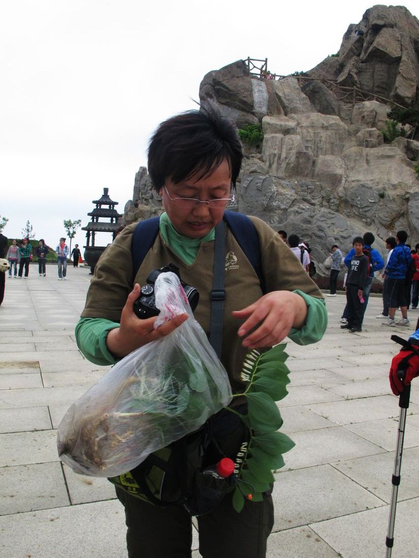 爬山不忘搂货的叶导