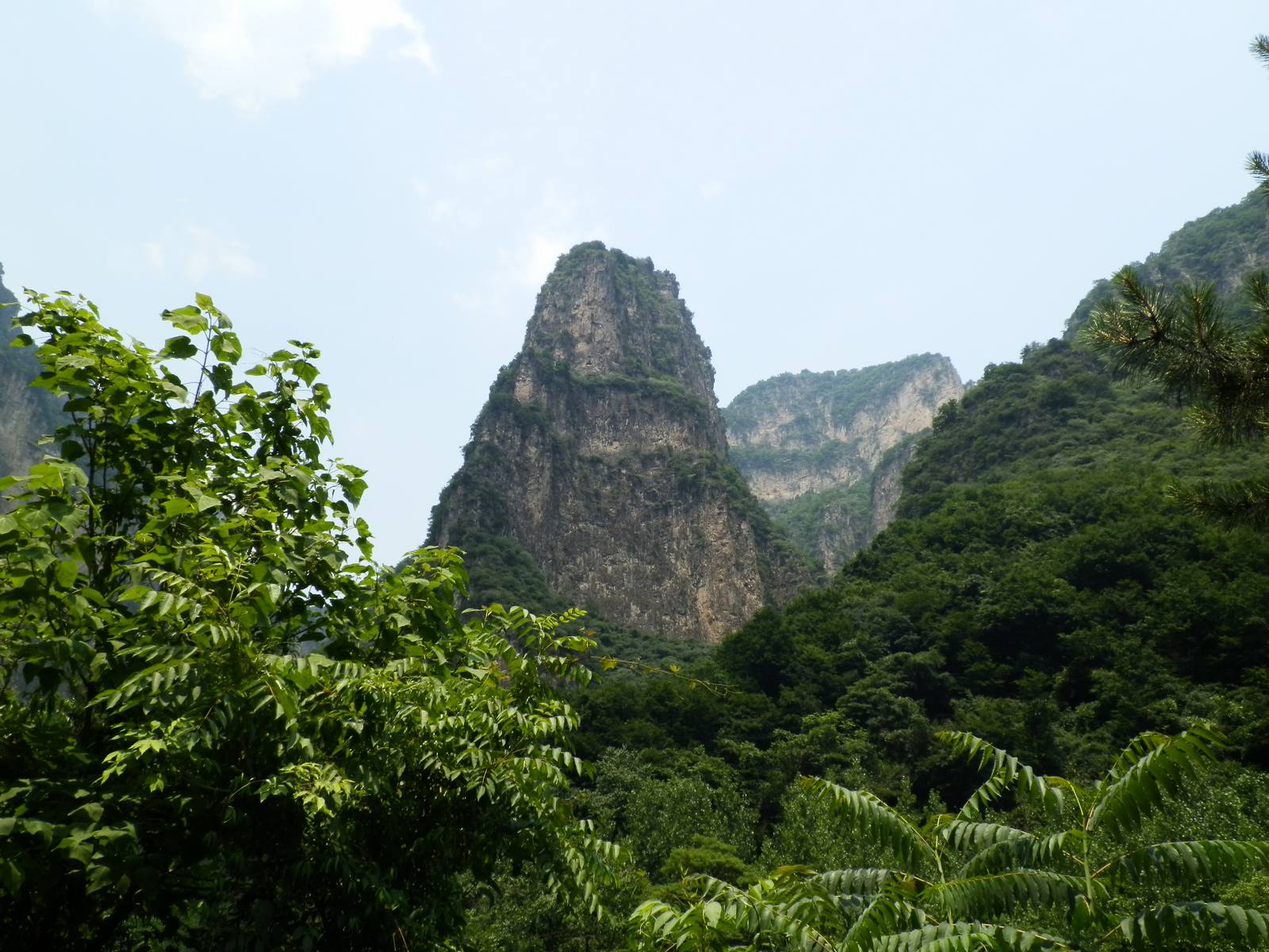 雨后竹笋太行山.JPG