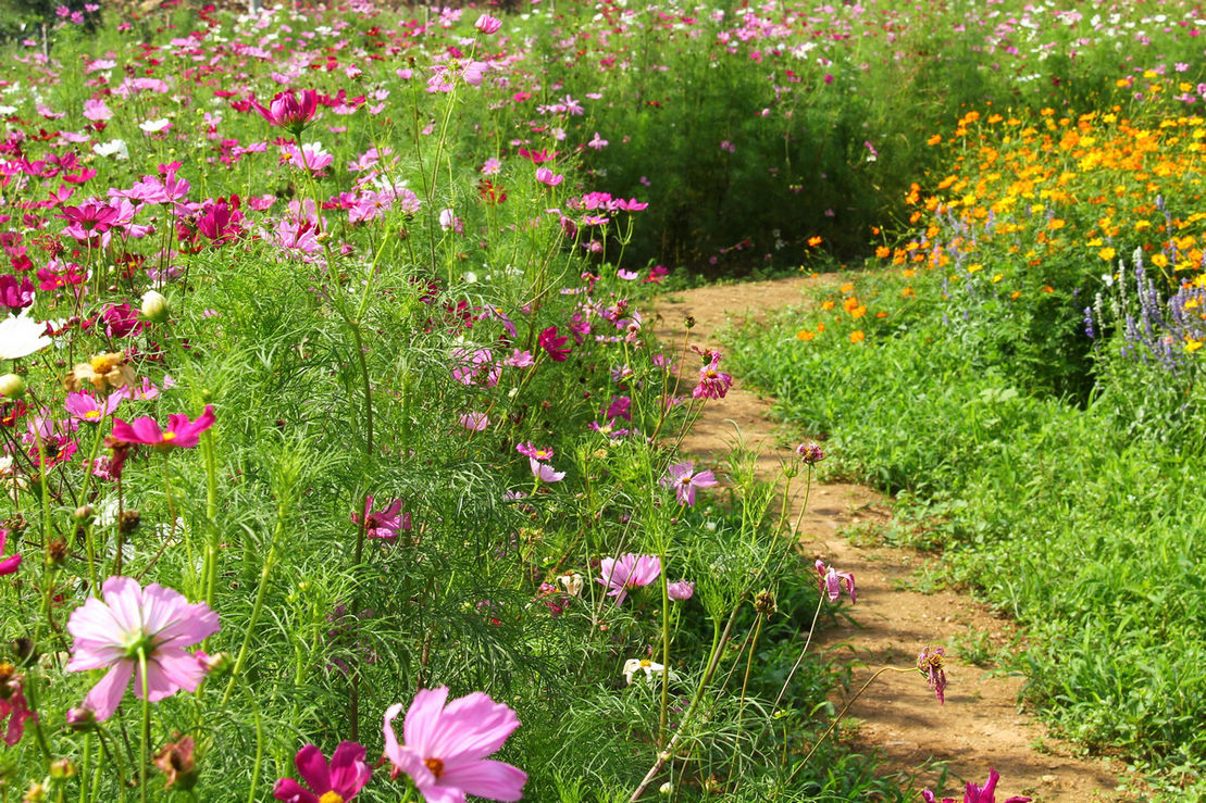 烟霞洞赏花 005-02.jpg