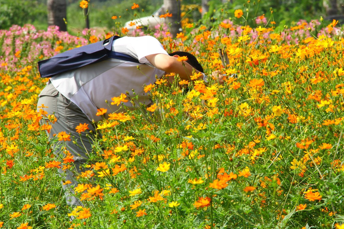 烟霞洞赏花 024-02.jpg