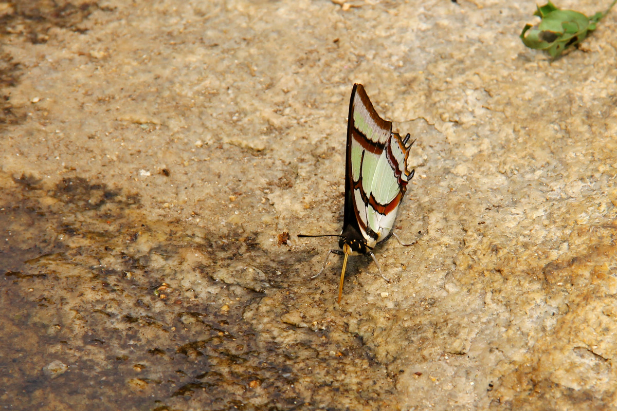 烟霞洞赏花 167.jpg