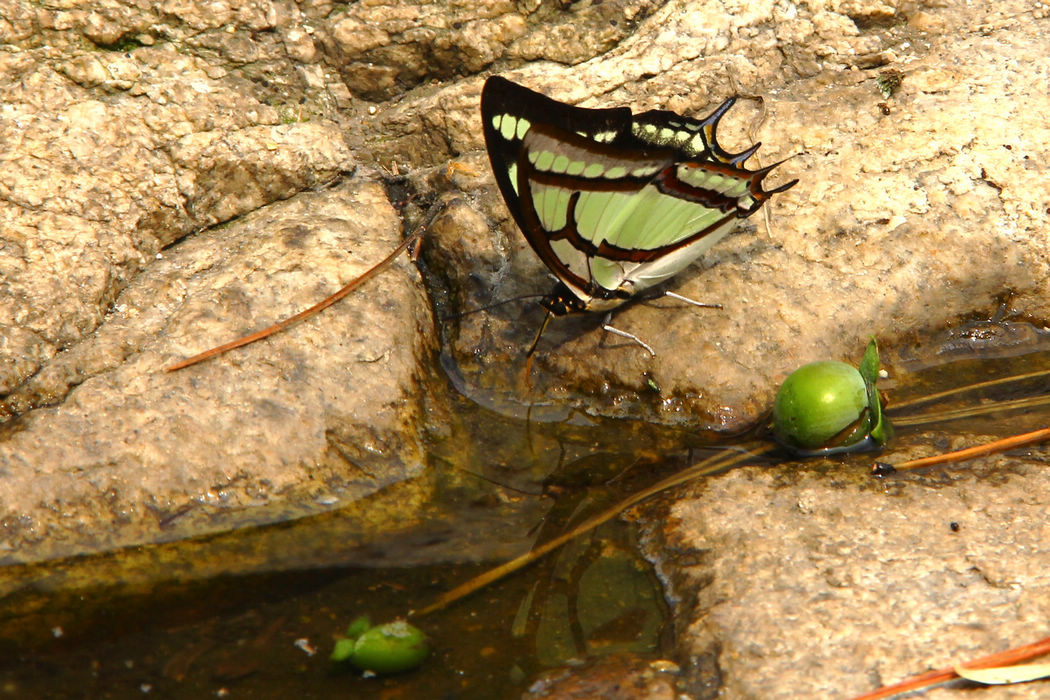 烟霞洞赏花 164.jpg