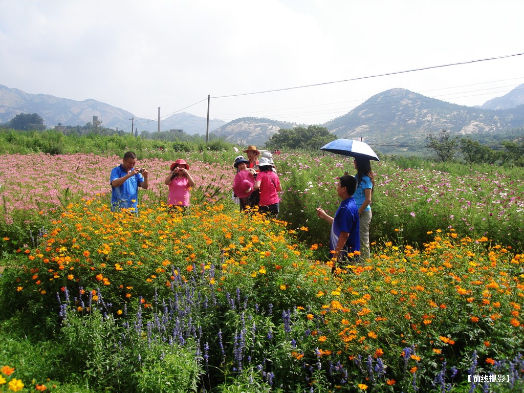 DSC01114昆嵛山赏花.jpg