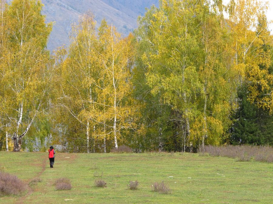 nEO_IMG_20120912新疆行 626.jpg