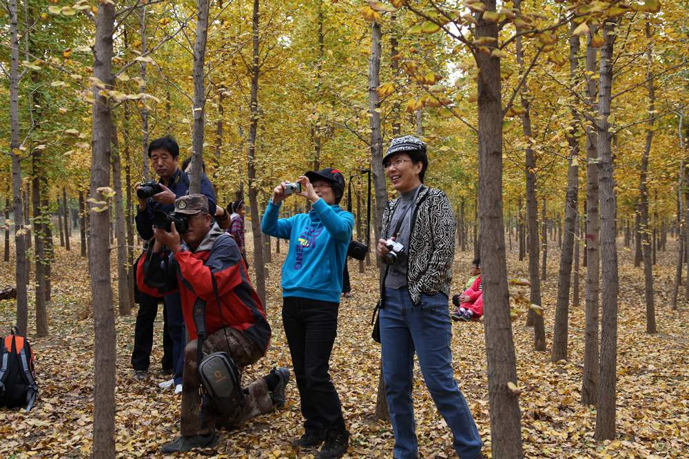 银杏林寒同山 009 (340).jpg