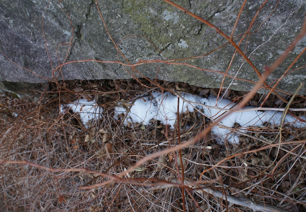 2012年昆嵛山的第一场雪.jpg