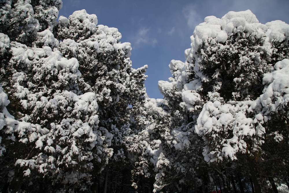 雪景--西炮台 106.jpg