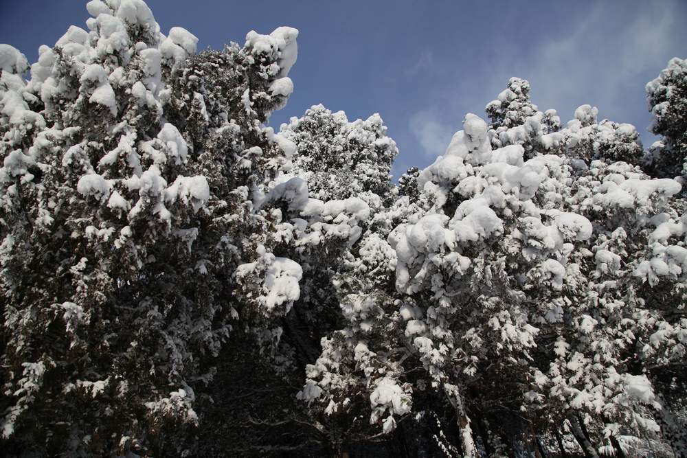 雪景--西炮台 103.jpg