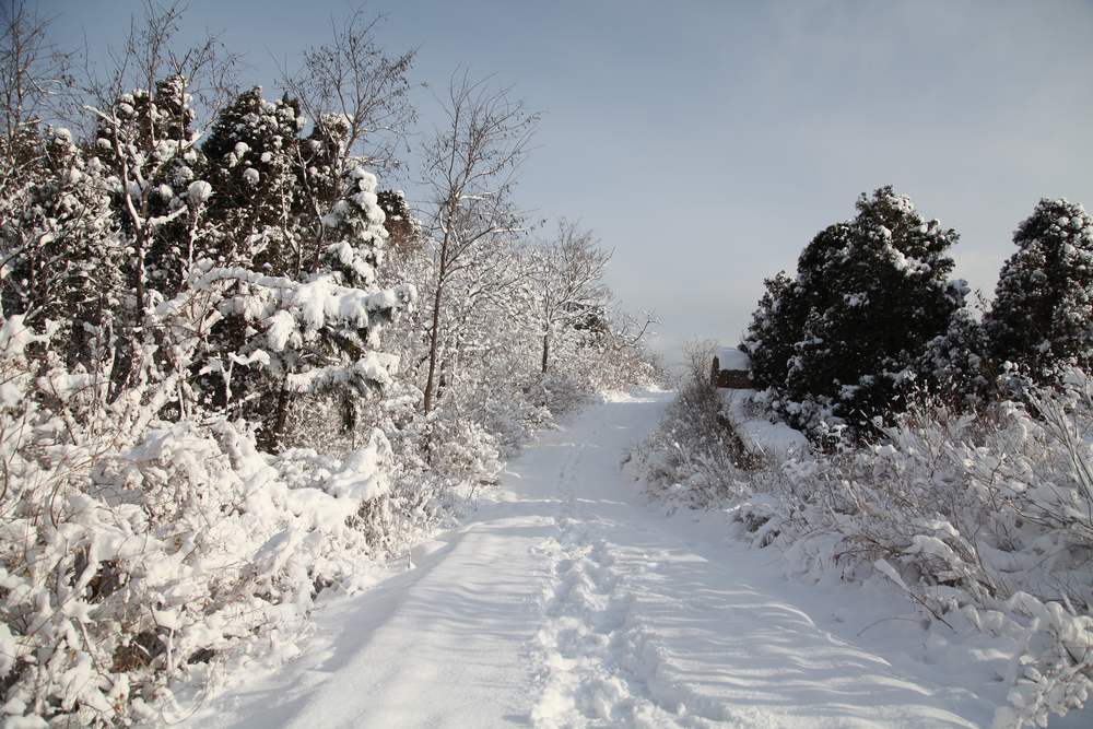 雪景--西炮台 175.jpg