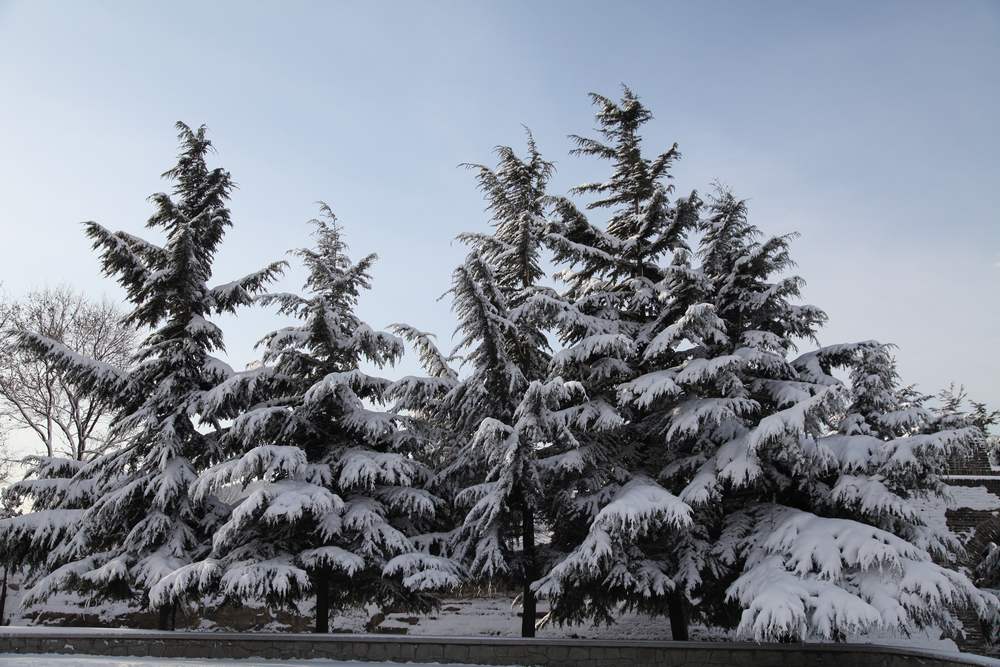 雪景--西炮台 154.jpg