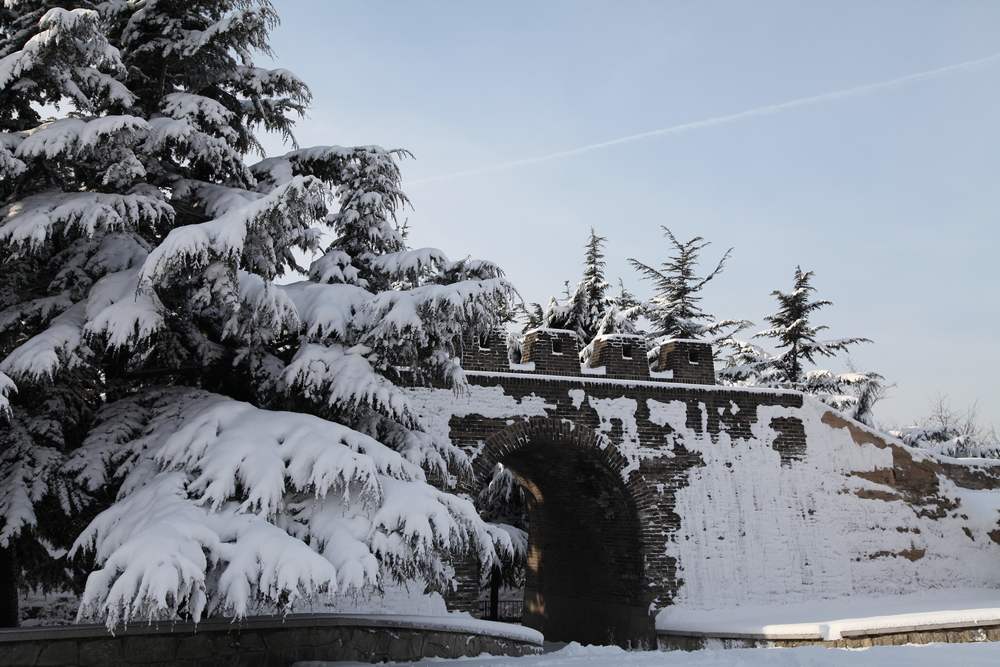 雪景--西炮台 161.jpg