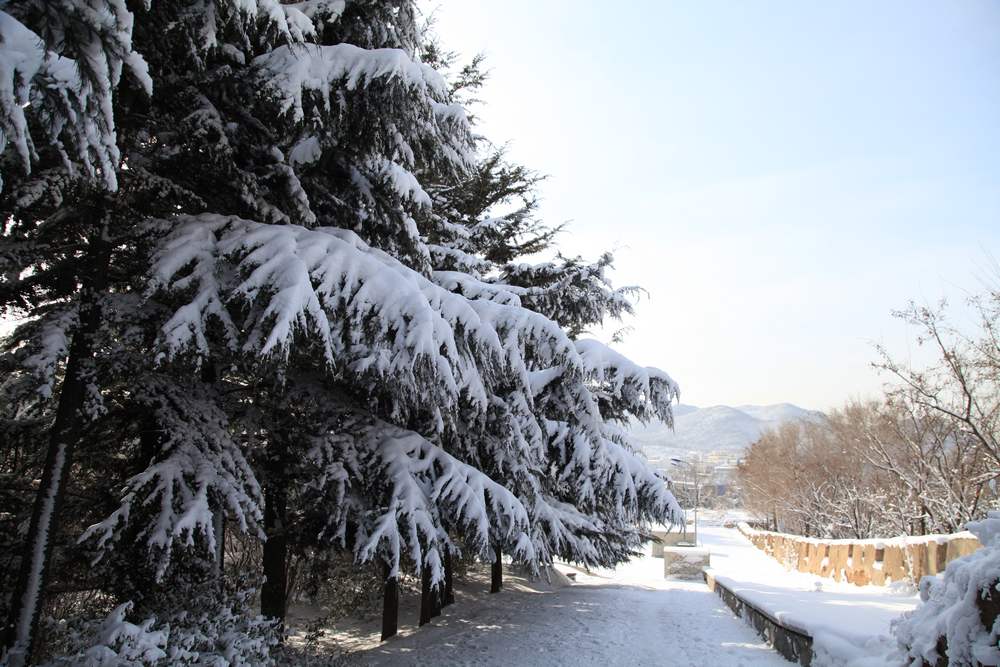 雪景--西炮台 216.jpg