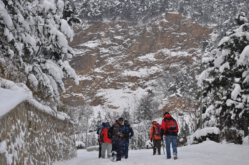 岩石雪.jpg