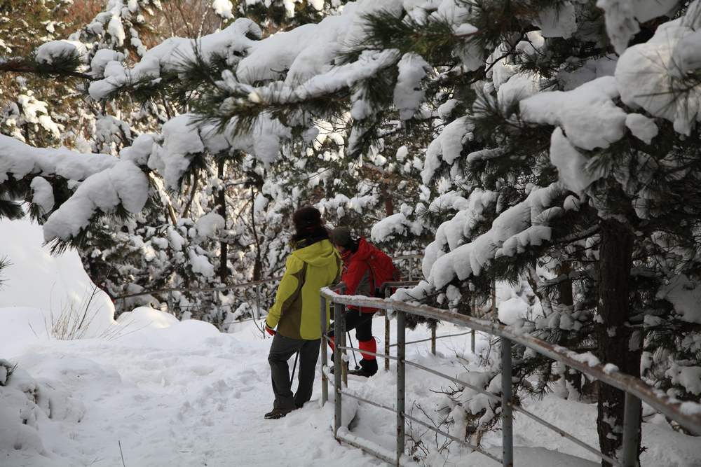 踏雪会师大南山 070.jpg