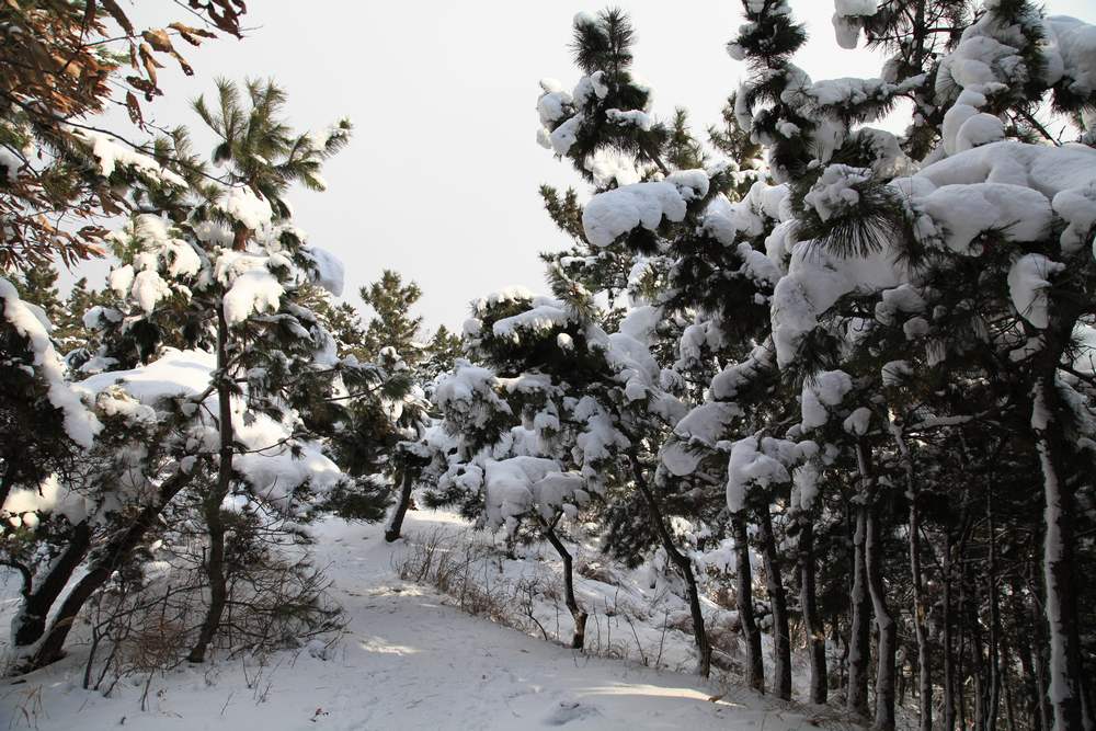 踏雪会师大南山 089.jpg