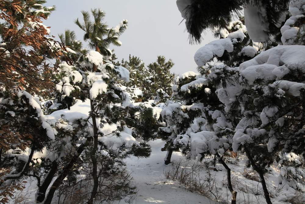 踏雪会师大南山 132.jpg