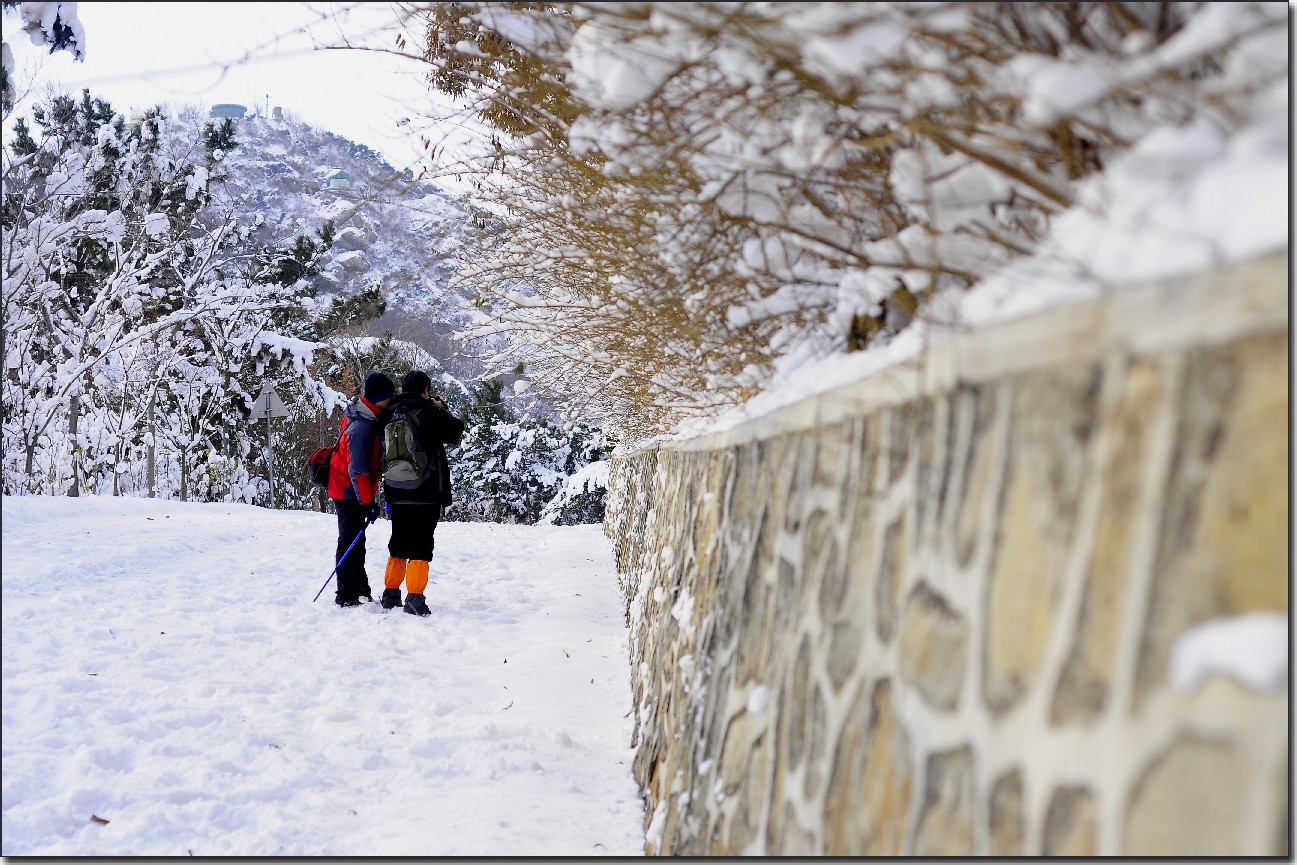 踏雪南山 (109).jpg