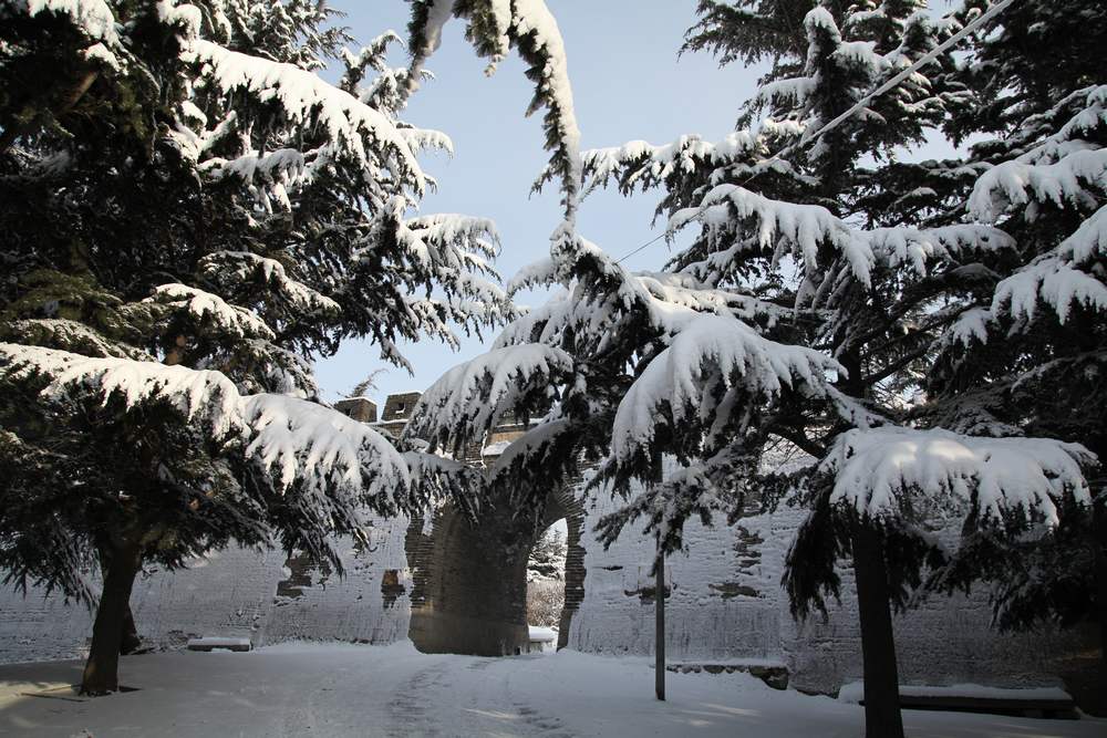 雪景--西炮台 136.jpg