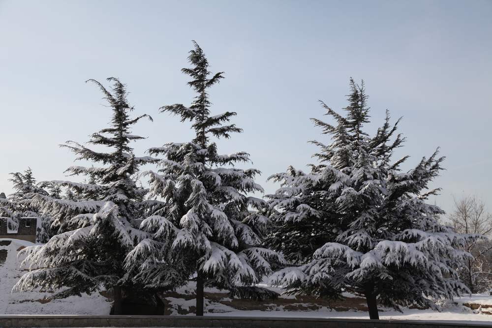 雪景--西炮台 151.jpg