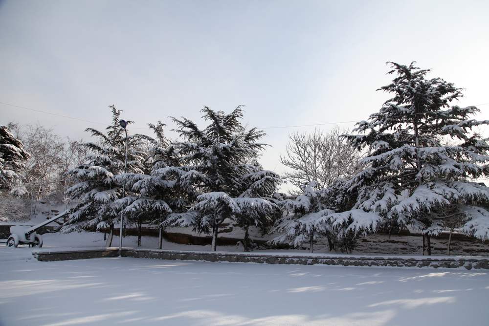 雪景--西炮台 159.jpg