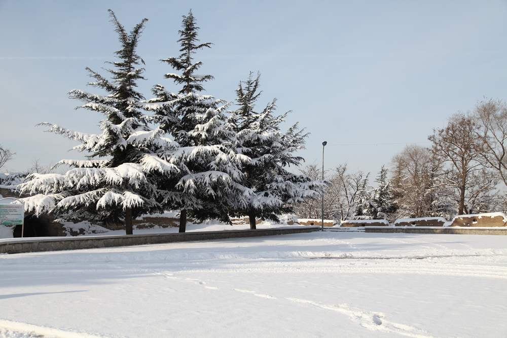 雪景--西炮台 156.jpg