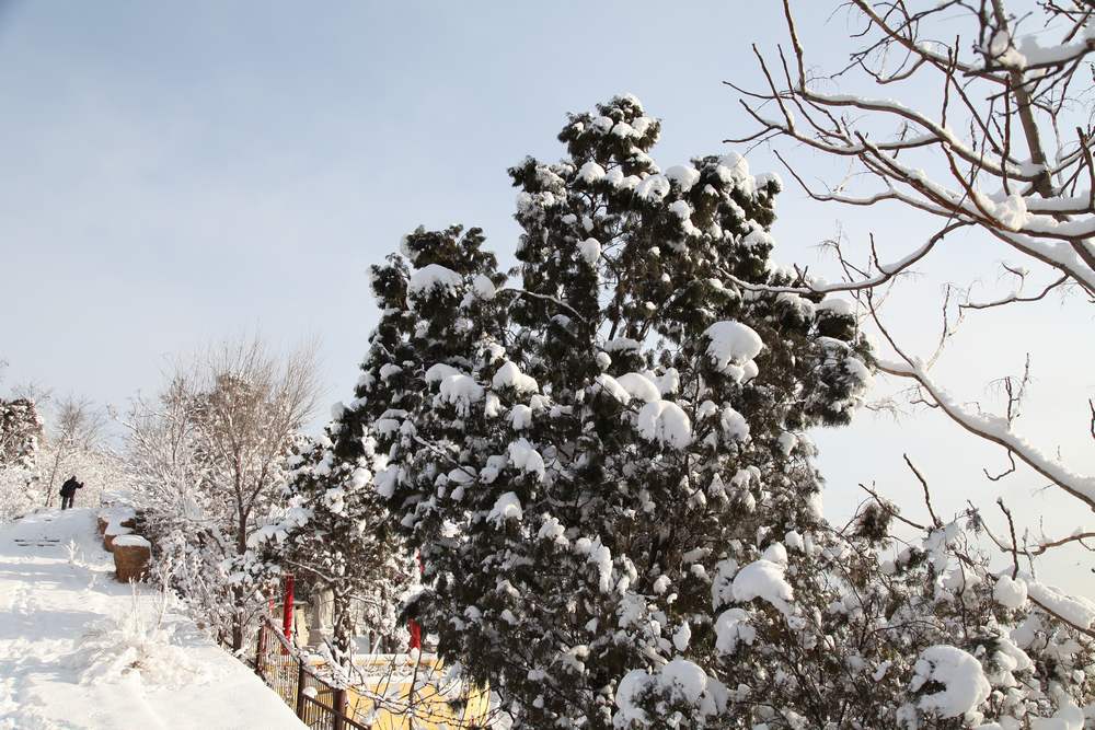 雪景--西炮台 165.jpg