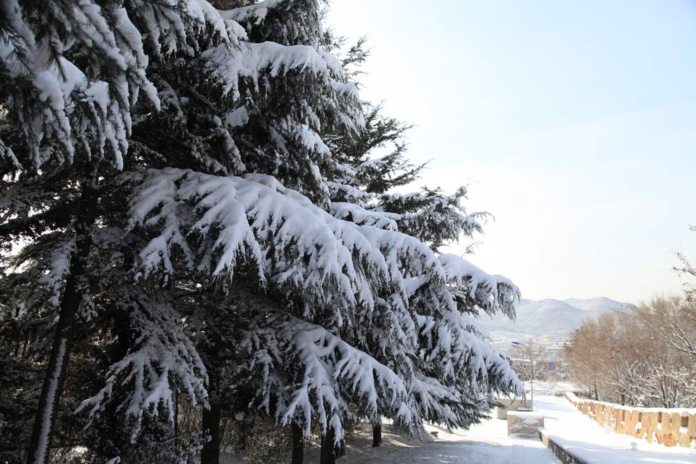 雪景--西炮台 215.jpg