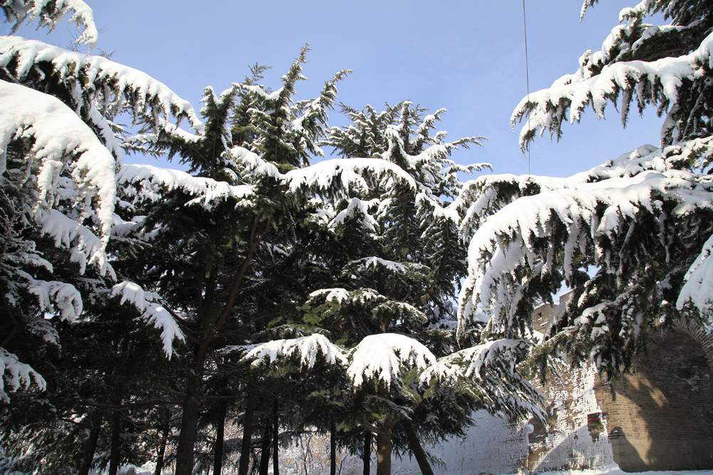 雪景--西炮台 223.jpg