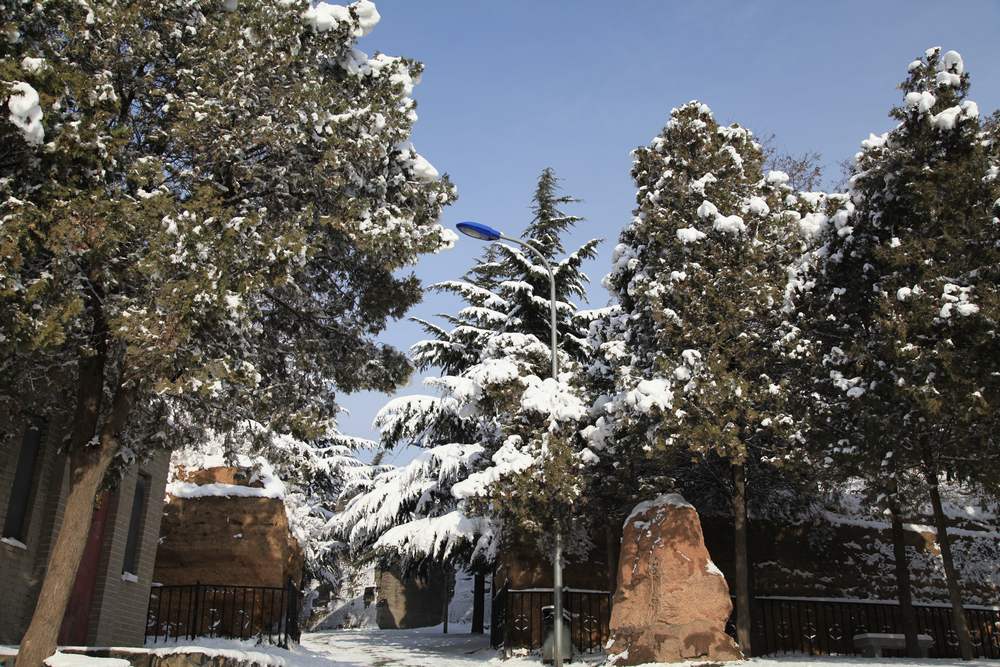 雪景--西炮台 226.jpg